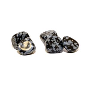 SNOWFLAKE OBSIDIAN TUMBLE