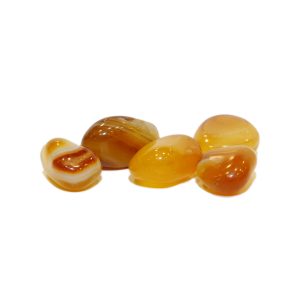 YELLOW CHALCEDONY  TUMBLE